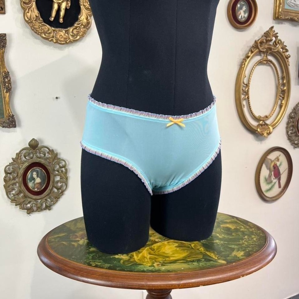 Victoria's Secret Pout Blue Sheer Mesh Ruffle Trim Panty Size Medium
